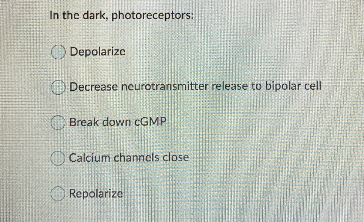 In the dark, photoreceptors:
Depolarize
Decrease neurotransmitter release to bipolar cell
Break down CGMP
Calcium channels close
Repolarize
