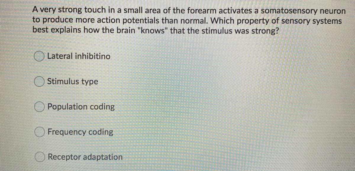 A very strong touch in a small area of the forearm activates a somatosensory neuron
to produce more action potentials than normal. Which property of sensory systems
best explains how the brain "knows" that the stimulus was strong?
Lateral inhibitino
O Stimulus type
Population coding
Frequency coding
Receptor adaptation
