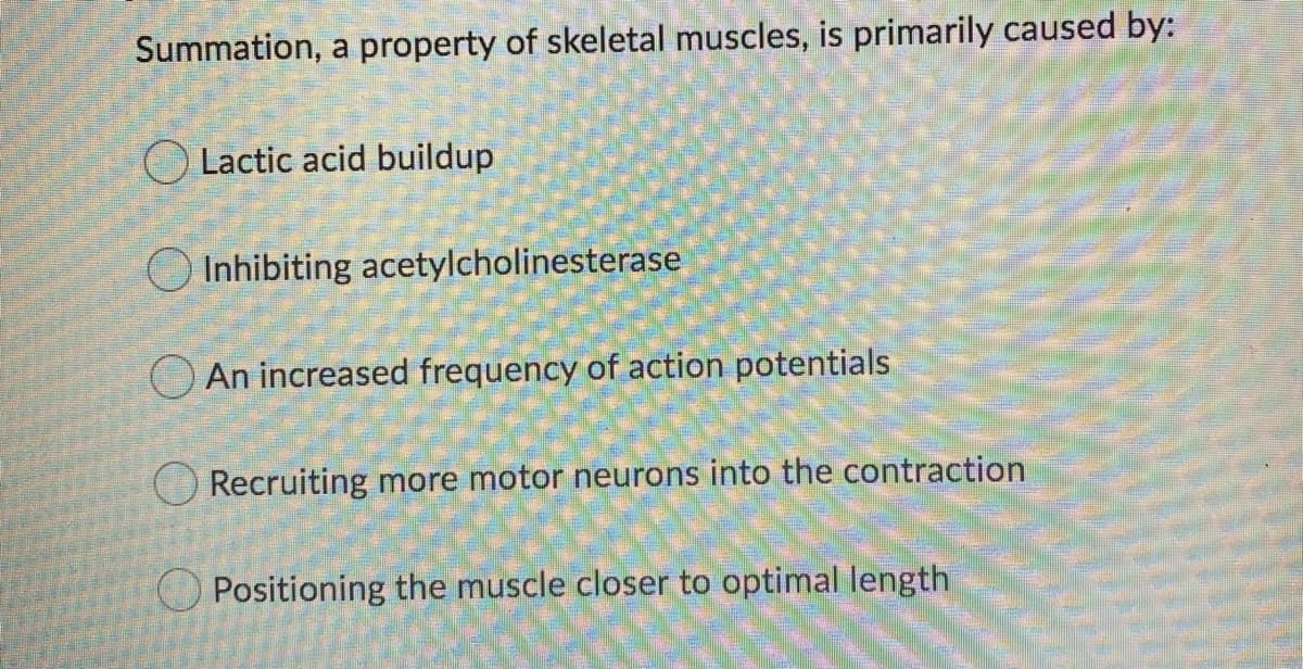 Summation, a property of skeletal muscles, is primarily caused by:
O Lactic acid buildup
Inhibiting acetylcholinesterase
O An increased frequency of action potentials
Recruiting more motor neurons into the contraction
O Positioning the muscle closer to optimal length
