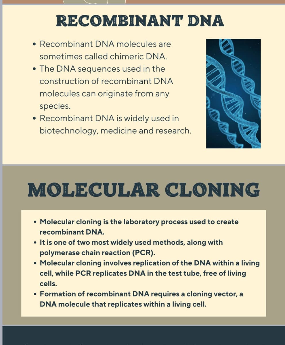 RECOMBINANT DNA
• Recombinant DNA molecules are
sometimes called chimeric DNA.
The DNA sequences used in the
construction of recombinant DNA
molecules can originate from any
species.
Recombinant DNA is widely used in
biotechnology, medicine and research.
MOLECULAR CLONING
• Molecular cloning is the laboratory process used to create
recombinant DNA.
• It is one of two most widely used methods, along with
polymerase chain reaction (PCR).
• Molecular cloning involves replication of the DNA within a living
cell, while PCR replicates DNA in the test tube, free of living
cells.
• Formation of recombinant DNA requires a cloning vector, a
DNA molecule that replicates within a living cell.
