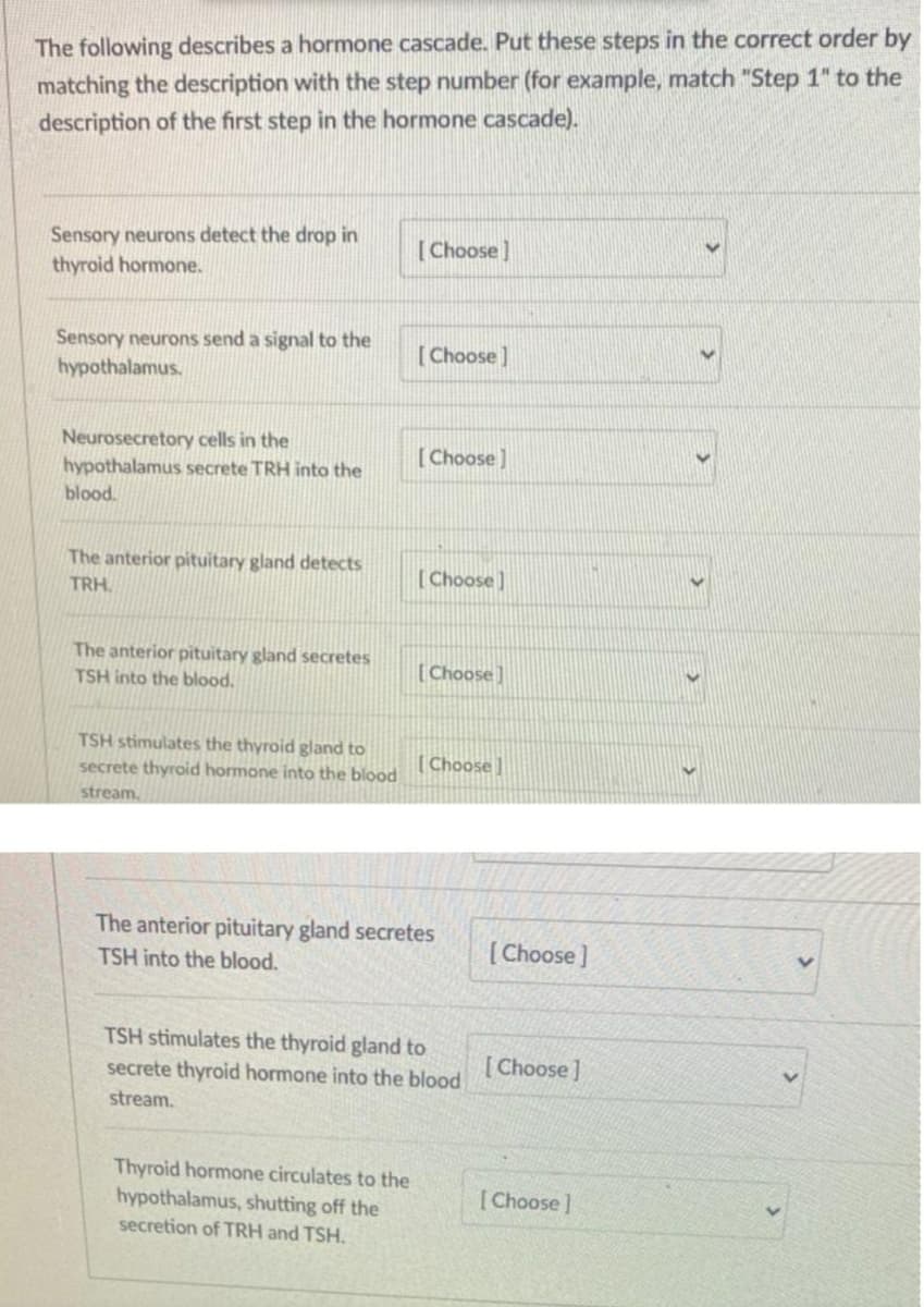 The following describes a hormone cascade. Put these steps in the correct order by
matching the description with the step number (for example, match "Step 1" to the
description of the first step in the hormone cascade).
Sensory neurons detect the drop in
[Choose]
thyroid hormone.
Sensory neurons send a signal to the
hypothalamus.
[Choose]
Neurosecretory cells in the
hypothalamus secrete TRH into the
[Choose]
blood.
The anterior pituitary gland detects
[Choose]
TRH.
The anterior pituitary gland secretes
[Choose]
TSH into the blood.
TSH stimulates the thyroid gland to
[ Choose ]
secrete thyroid hormone into the blood
stream.
The anterior pituitary gland secretes
[ Choose]
TSH into the blood.
TSH stimulates the thyroid gland to
secrete thyroid hormone into the blood
[Choose ]
stream.
Thyroid hormone circulates to the
hypothalamus, shutting off the
[Choose]
secretion of TRH and TSH.

