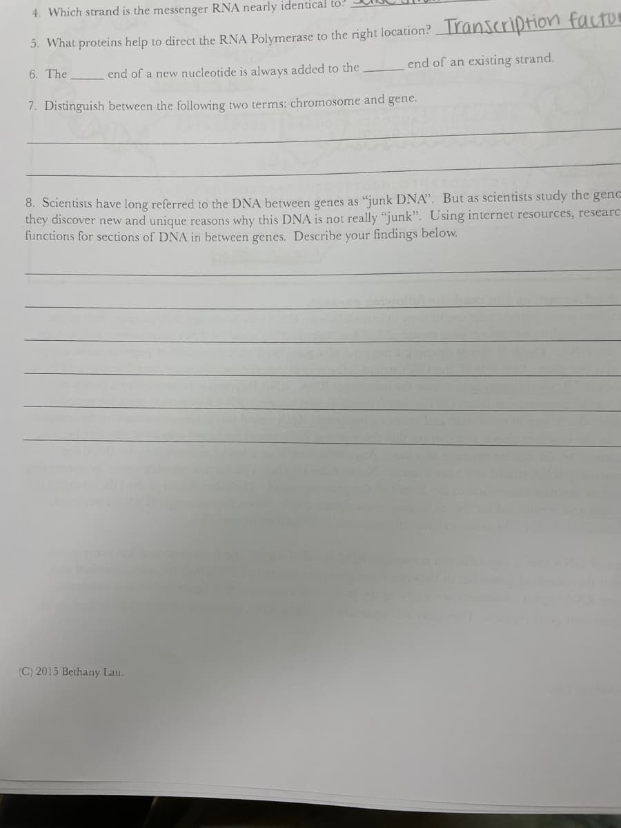 4. Which strand is the messenger RNA nearly identical to:
5. What proteins help to direct the RNA Polymerase to the right location?Transcription facton
6. The
end of a new nucleotide is always added to the
end of an existing strand.
7. Distinguish between the following two terms: chromosome and gene.
8. Scientists have long referred to the DNA between genes as “junk DNA". But as scientists study the genc
they discover new and unique reasons why this DNA is not really "junk". Using internet resources, researc
functions for sections of DNA in between genes. Describe your findings below.
(C) 2015 Bethany Lau.
