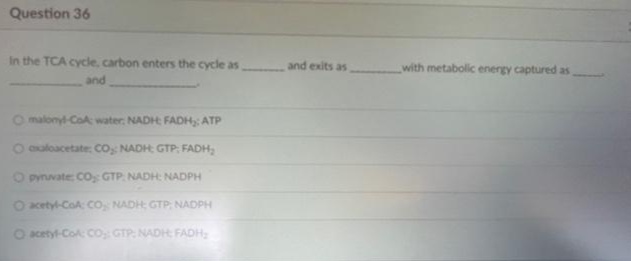 Question 36
In the TCA cycle, carbon enters the cycle as
and exits as
with metabolic energy captured as
and
O malonyl-CoA water NADH FADH ATP
O oaloacetate CO: NADH GTP; FADH,
O pynvate CO, GTP. NADH: NADPH
O acetyl-CoA CO NADH GTP, NADPH
O cetyl-Co Co, GTP NADH FADH,
