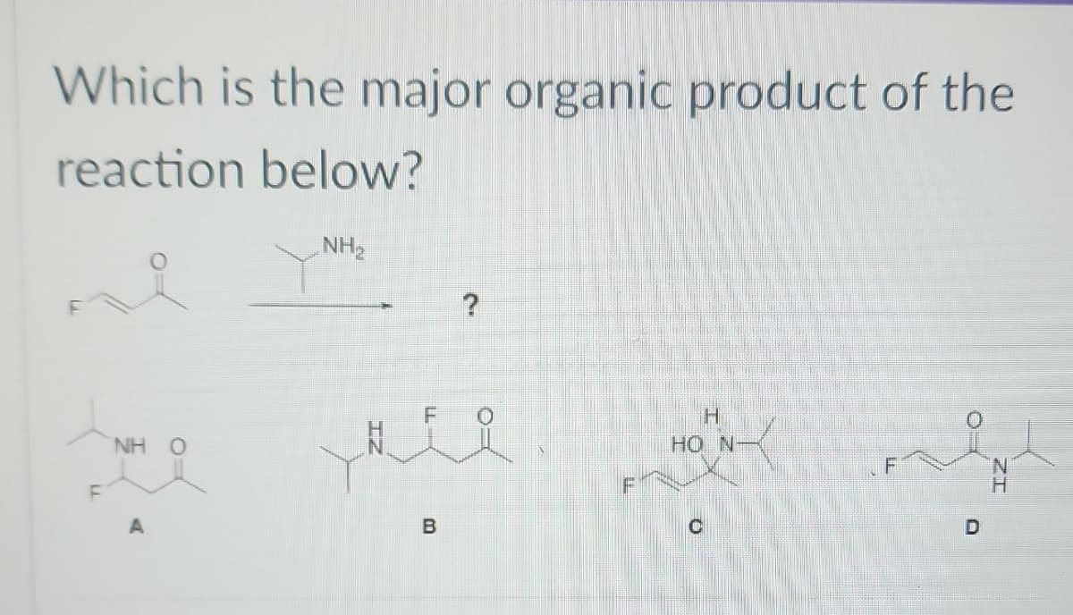 Which is the major organic product of the
reaction below?
i
NH O
NH₂
B
?
H
HO N―
D
N