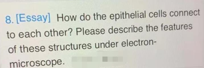 8. [Essay] How do the epithelial cells connect
to each other? Please describe the features
of these structures under electron-
microscope.
