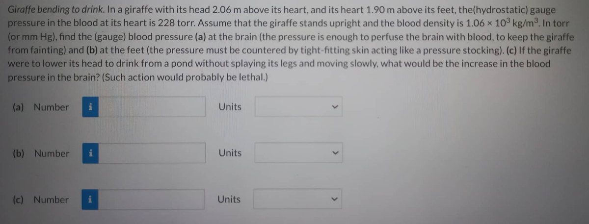 Giraffe bending to drink. In a giraffe with its head 2.06 m above its heart, and its heart 1.90 m above its feet, the(hydrostatic) gauge
pressure in the blood at its heart is 228 torr. Assume that the giraffe stands upright and the blood density is 1.06 × 10³ kg/m³. In torr
(or mm Hg), find the (gauge) blood pressure (a) at the brain (the pressure is enough to perfuse the brain with blood, to keep the giraffe
from fainting) and (b) at the feet (the pressure must be countered by tight-fitting skin acting like a pressure stocking). (c) If the giraffe
were to lower its head to drink from a pond without splaying its legs and moving slowly, what would be the increase in the blood
pressure in the brain? (Such action would probably be lethal.)
(a) Number
(b) Number
(c) Number
Units
Units
Units
>