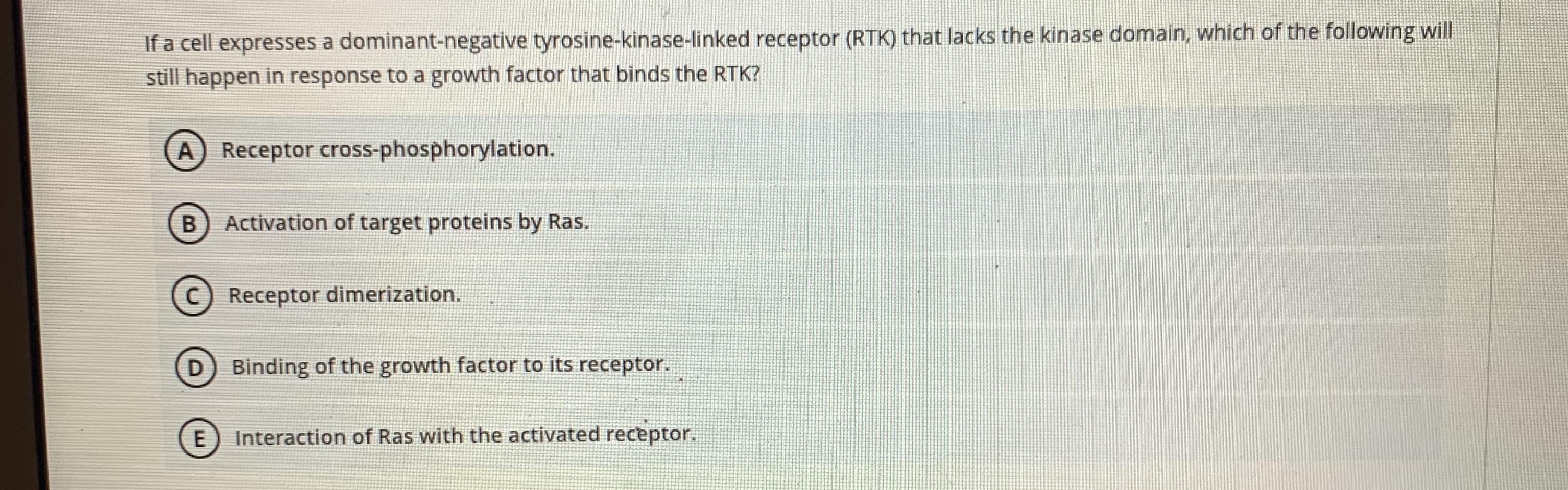 If a cell expresses a dominant-negative tyrosine-kinase-linked receptor (RTK) that lacks the kinase domain, which of the following will
still happen in response to a growth factor that binds the RTK?
A Receptor cross-phosphorylation.
Activation of target proteins by Ras.
C) Receptor dimerization.
D) Binding of the growth factor to its receptor.
Interaction of Ras with the activated receptor.
B
