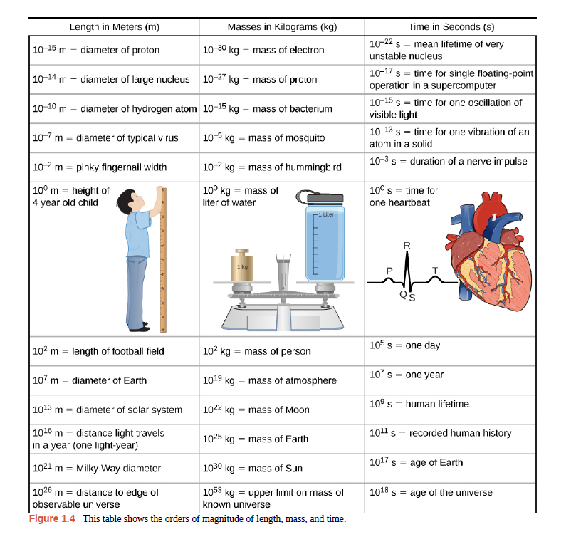Length in Meters (m)
Masses in Kilograms (kg)
Time in Seconds (s)
10-22 s =
mean lifetime of very
| 10-15 m
diameter of proton
10-30 kg
= mass of electron
%3D
unstable nucleus
10-17 s = time for single floating-point
operation in a supercomputer
10-14 m =
diameter of large nucleus
10-27 kg = mass of proton
10-15 s = time for one oscillation of
visible light
10-10 m
diameter of hydrogen atom 10-15 kg = mass of bacterium
10-13 s = time for one vibration of an
10-7 m =
diameter of typical virus
10-5 kg = mass of mosquito
atom in a solid
10-3 s = duration of a nerve impulse
|10-2 m = pinky fingernail width
10-2 kg
= mass of hummingbird
10° m = height of
4 year old child
10° kg = mass of
liter of water
10° s = time for
one heartbeat
-1 Liter
1 kg
Q's
105 s = one day
|102 m = length of football field
102 kg
= mass of person
107 s = one year
107 m
diameter of Earth
1019 kg = mass of atmosphere
1013 m = diameter of solar system
1022 kg = mass of Moon
10° s = human lifetime
1011 s = recorded human history
|1016 m = distance light travels
in a year (one light-year)
1025 kg
= mass of Earth
|1021 m = Milky Way diameter
1030 kg
1017 s =
age of Earth
= mass of Sun
1026 m = distance to edge of
1053 kg
= upper limit on mass of
1018 s =
age of the universe
observable universe
known universe
Figure 1.4 This table shows the orders of magnitude of length, mass, and time.
