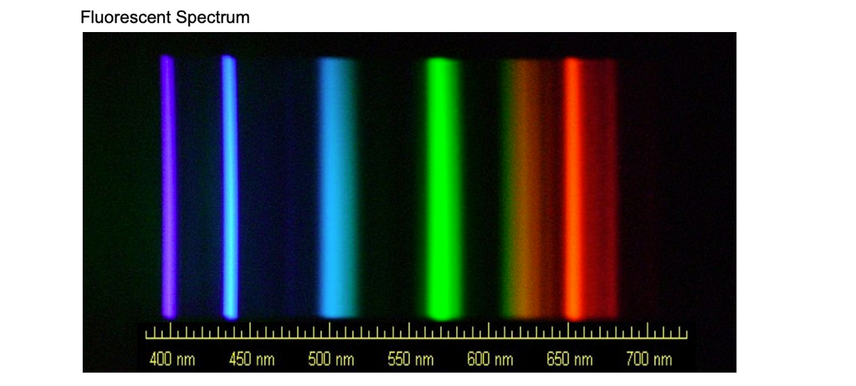 Fluorescent Spectrum
550 nm
600 nm
650 nm
700 nm
400 nm
450 nm
500 nm
