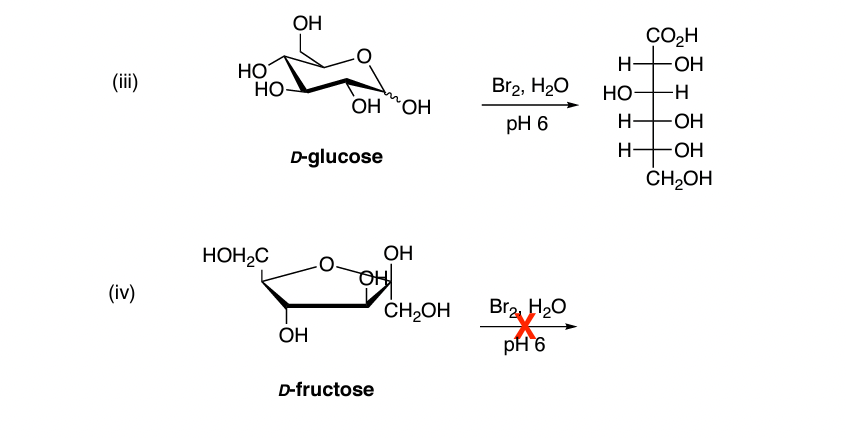 (iii)
(iv)
НО
НО
HOH₂C
ОН
OH OH
D-glucose
OH
ОН
니
D-fructose
CH₂OH
Br2, H₂O
pH 6
Bra H2O
pH 6
Н-
НО-
Н-
CO₂H
OH
-H
OH
OH
CH₂OH