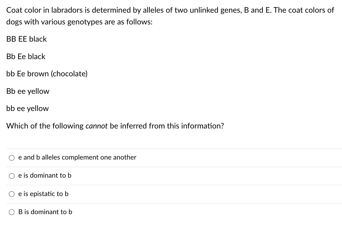 Coat color in labradors is determined by alleles of two unlinked genes, B and E. The coat colors of
dogs with various genotypes are as follows:
BB EE black
Bb Ee black
bb Ee brown (chocolate)
Bb ee yellow
bb ee yellow
Which of the following cannot be inferred from this information?
e and b alleles complement one another
O e is dominant to b
Oe is epistatic to b
B is dominant to b