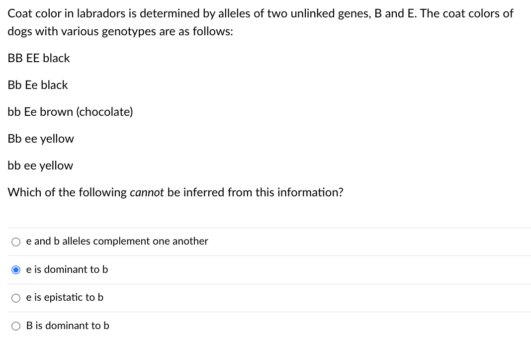 Coat color in labradors is determined by alleles of two unlinked genes, B and E. The coat colors of
dogs with various genotypes are as follows:
BB EE black
Bb Ee black
bb Ee brown (chocolate)
Bb ee yellow
bb ee yellow
Which of the following cannot be inferred from this information?
O e and b alleles complement one another
e is dominant to b
e is epistatic to b
O B is dominant to b