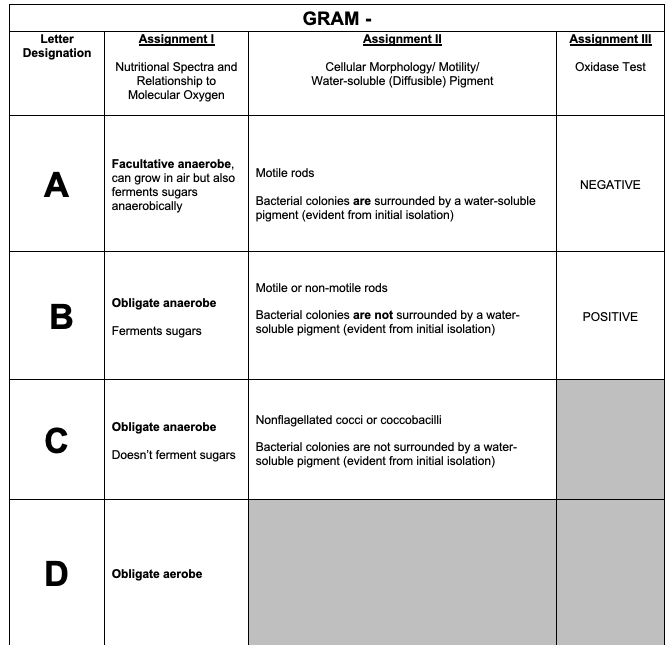 GRAM -
Letter
Assignment I
Assignment II
Assignment II
Designation
Nutritional Spectra and
Relationship to
Molecular Oxygen
Cellular Morphology/ Motility/
Water-soluble (Diffusible) Pigment
Oxidase Test
Facultative anaerobe,
can grow in air but also
ferments sugars
anaerobically
Motile rods
A
NEGATIVE
Bacterial colonies are surrounded by a water-soluble
pigment (evident from initial isolation)
Motile or non-motile rods
Obligate anaerobe
В
Bacterial colonies are not surrounded by a water-
soluble pigment (evident from initial isolation)
POSITIVE
Ferments sugars
Nonflagellated cocci or coccobacilli
Obligate anaerobe
Bacterial colonies are not surrounded by a water-
soluble pigment (evident from initial isolation)
Doesn't ferment sugars
D
Obligate aerobe
