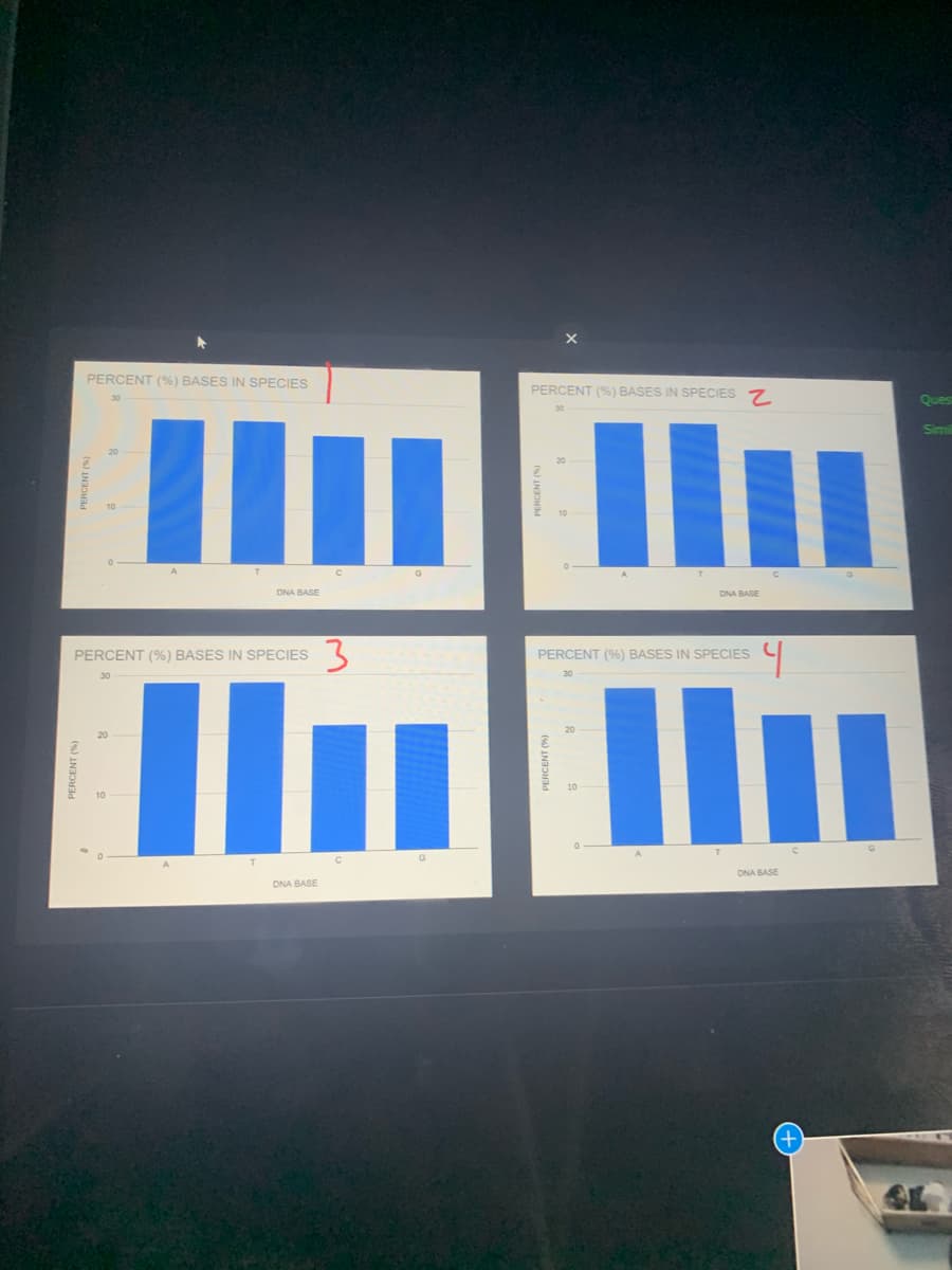 PERCENT (%) BASES IN SPECIES
PERCENT (%) BASES IN SPECIES 7.
Quest
Simil
DNA BASE
DNA BASE
3
PERCENT (%) BASES IN SPECIES
PERCENT (96) BASES IN SPECIES
Ilullu
%3D
DNA BASE
DNA BASE
