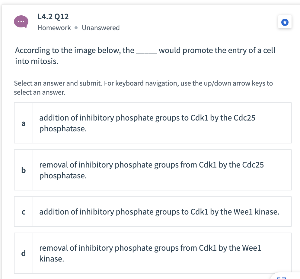 L4.2 Q12
Homework • Unanswered
would promote the entry of a cell
According to the image below, the
into mitosis.
Select an answer and submit. For keyboard navigation, use the up/down arrow keys to
select an answer.
addition of inhibitory phosphate groups to Cdk1 by the Cdc25
a
phosphatase.
removal of inhibitory phosphate groups from Cdk1 by the Cdc25
b
phosphatase.
addition of inhibitory phosphate groups to Cdk1 by the Weel kinase.
removal of inhibitory phosphate groups from Cdk1 by the Weel
d.
kinase.
