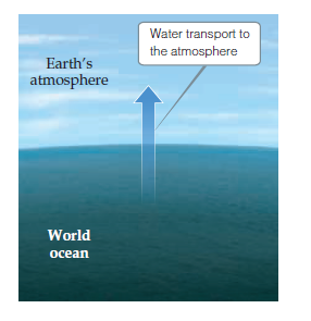 Water transport to
the atmosphere
Earth's
atmosphere
World
ocean
