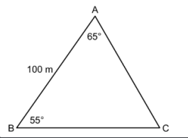 100 m
55°
A
65°
C