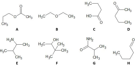 H3C-
-CH3
CH3
H3C
CH3
Но
ČH3
-CH3
A
B
D
H2N
OH
NH2
H3C-
CH3
-CH3
-CH3
.CH3
H3C-
H3C
CH3
H;C
ČH3
E
F
G
H
