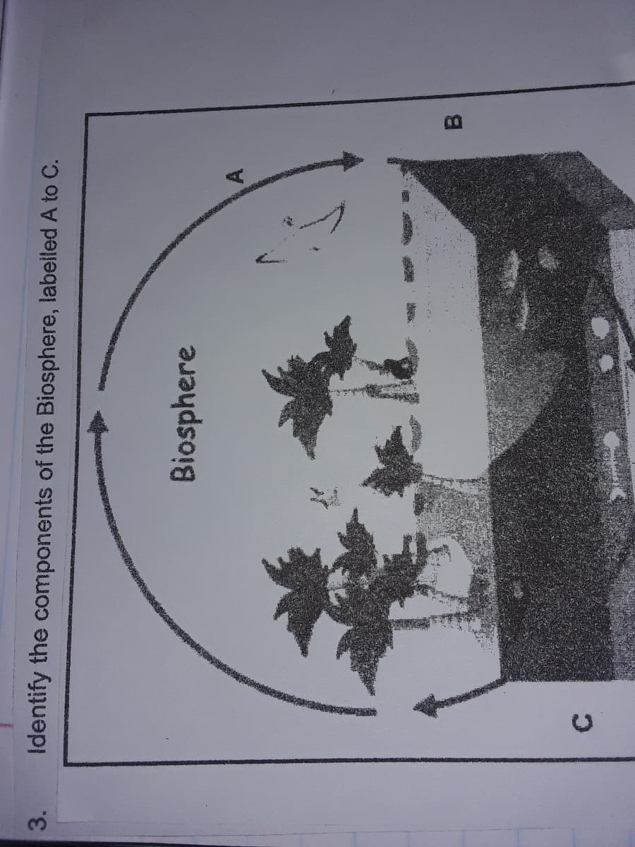 3.
Identify the components of the Biosphere, labelled A to C.
Biosphere
B.
C.
