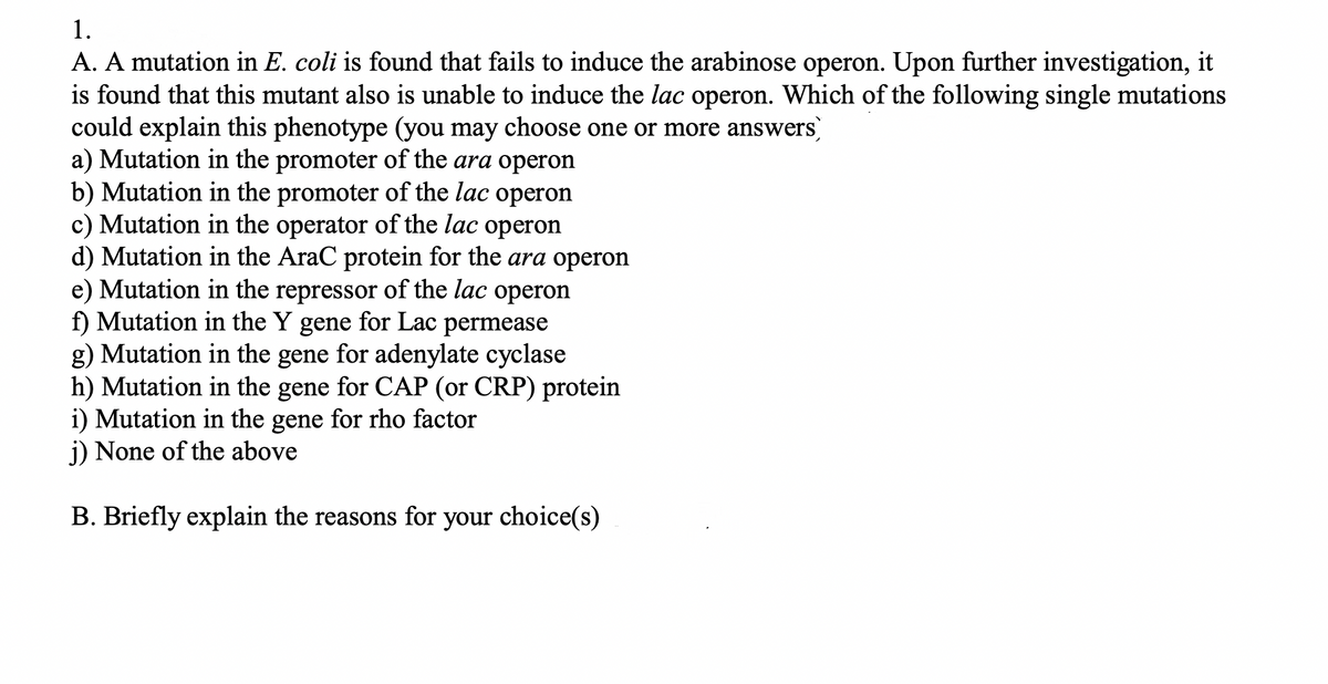 1.
A. A mutation in E. coli is found that fails to induce the arabinose operon. Upon further investigation, it
is found that this mutant also is unable to induce the lac operon. Which of the following single mutations
could explain this phenotype (you may choose one or more answers
a) Mutation in the promoter of the ara operon
b) Mutation in the promoter of the lac operon
c) Mutation in the operator of the lac operon
d) Mutation in the AraC protein for the ara operon
e) Mutation in the repressor of the lac operon
f) Mutation in the Y gene for Lac permease
g) Mutation in the gene for adenylate cyclase
h) Mutation in the gene for CAP (or CRP) protein
i) Mutation in the gene for rho factor
j) None of the above
B. Briefly explain the reasons for your choice(s)
