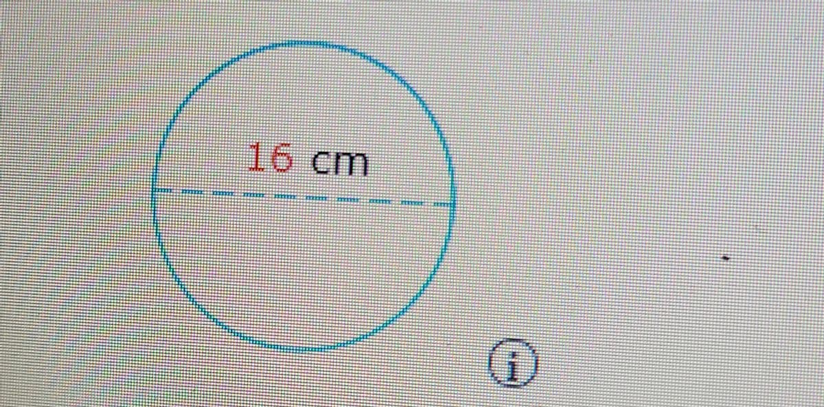 16cm
