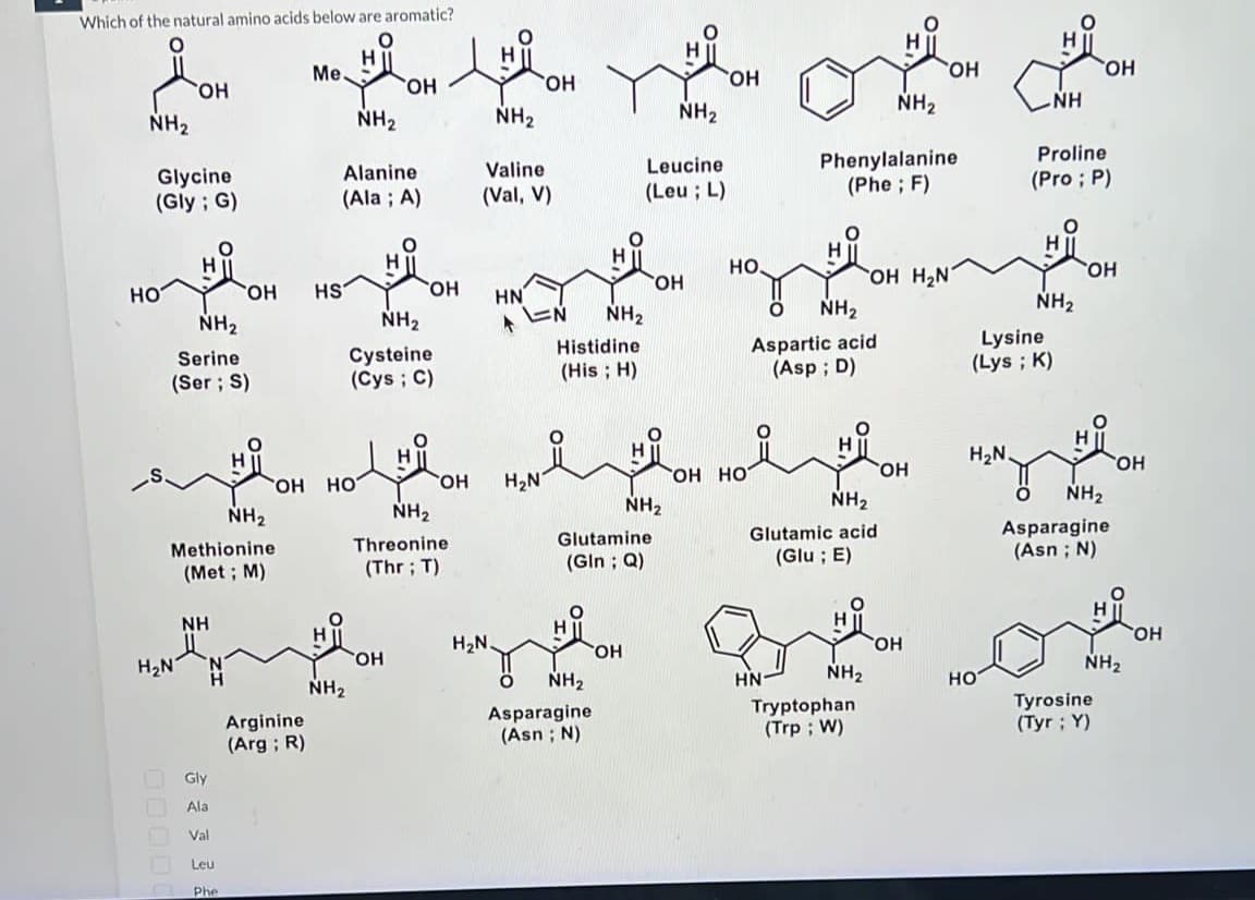 Which of the natural amino acids below are aromatic?
H
NH₂
Glycine
(Gly; G)
HO
OH
NH₂
Serine
(Ser; S)
H₂N
Methionine
(Met; M)
NH
Gly
Ala
Val
OH
Leu
Her
NH₂
Phe
Me.
Arginine
(Arg; R)
HS
Alanine
(Ala; A)
OH HO
NH₂
NH₂
OH
NH₂
Cysteine
(Cys; C)
OH
OH
OH
NH₂
Threonine
(Thr; T)
NH₂
Valine
(Val, V)
HN
K
H₂N.
OH
H₂N
NH₂
Histidine
(His; H)
NH₂
Asparagine
(Asn; N)
Glutamine
(Gin; Q)
OH
Leucine
(Leu; L)
NH₂
NH₂
OH
OH
HO.
OH HO
H
HN
Phenylalanine
(Phe; F)
NH₂
Aspartic acid
(Asp; D)
NH₂
Glutamic acid
(Glu; E)
NH₂
NH₂
OH H₂N
Tryptophan
(Trp; W)
OH
OH
OH
H₂N.
Lysine
(Lys; K)
HO
ΝΗ
Proline
(Pro; P)
NH₂
OH
OH
O NH₂
Asparagine
(Asn ; N)
Tyrosine
(Tyr; Y)
OH
NH₂
OH