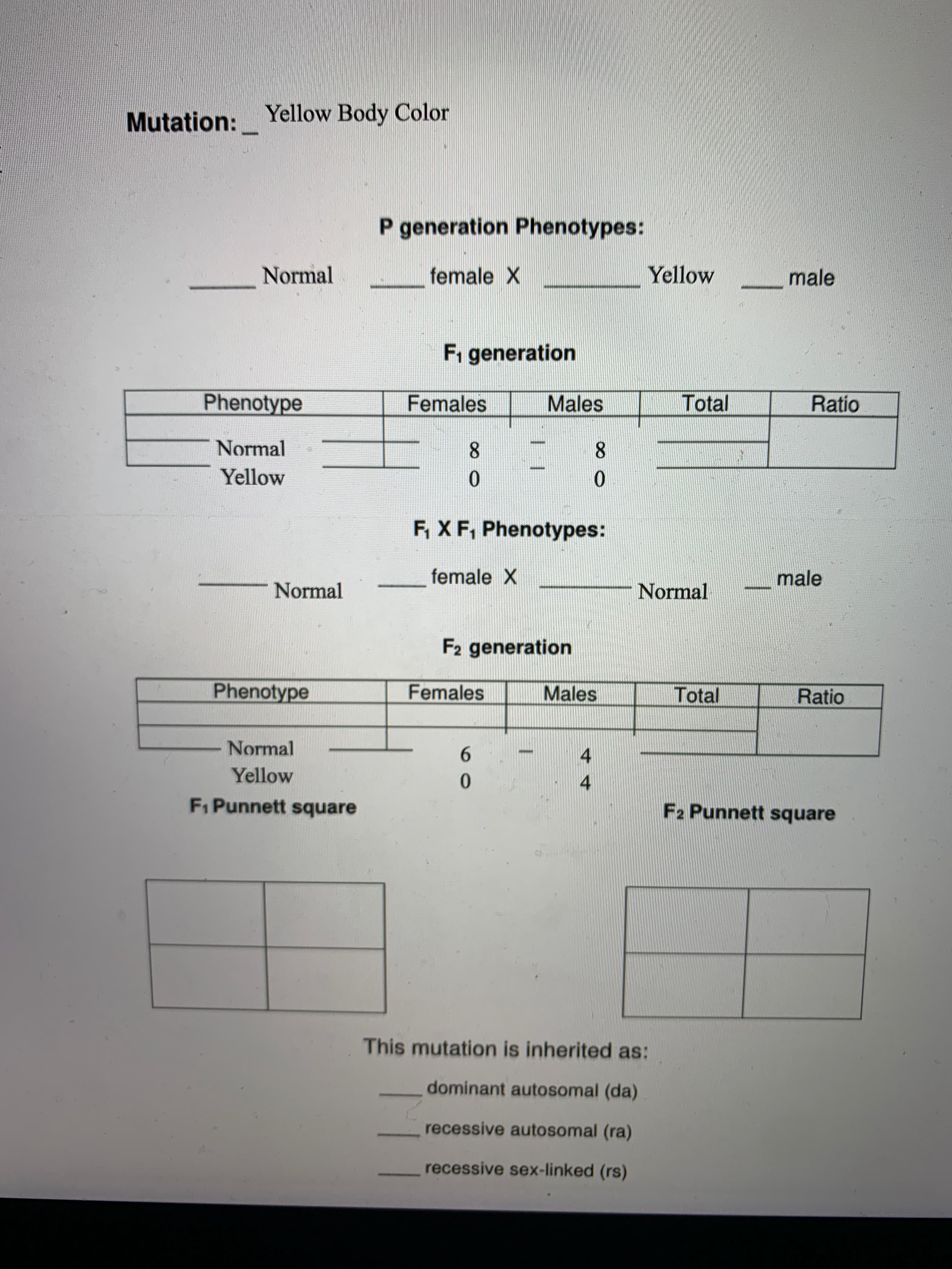 Yellow
4
F1 Punnett square
F2 Punnett square
This mutation is inherited as:
dominant autosomal (da)
recessive autosomal (ra)
recessive sex-linked (rs)
