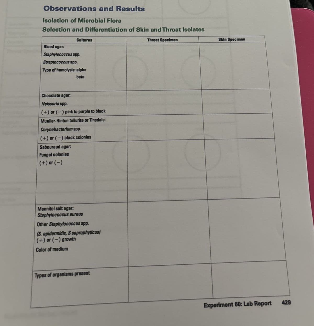 Observations and Results
Isolation of Microbial Flora
Selection and Differentiation of Skin and Throat Isolates
Cultures
Blood agar:
Staphylococcus spp.
Streptococcus spp.
Type of hemolysis: alpha
beta
Chocolate agar:
Neisseria spp.
(+) or (-) pink to purple to black
Mueller-Hinton tellurite or Tinsdale:
Corynebacterium spp.
(+) or (-) black colonies
Sabouraud agar:
Fungal colonies
(+) or (-)
Mannitol salt agar:
Staphylococcus aureus
Other Staphylococcus spp.
(S. epidermidis, S saprophyticus)
(+) or (-) growth
Color of medium
Types of organisms present
Throat Specimen
Skin Specimen
Experiment 60: Lab Report
429