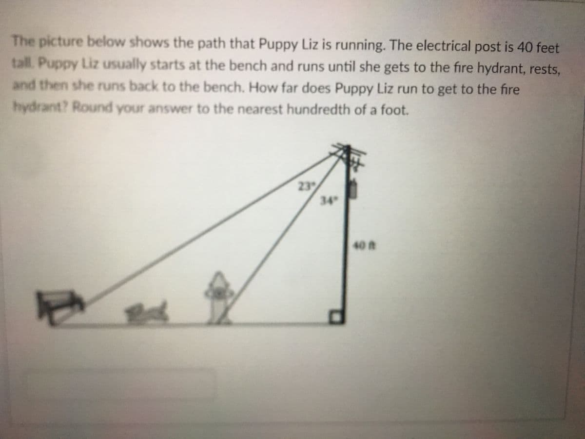 The picture below shows the path that Puppy Liz is running. The electrical post is 40 feet
tall. Puppy Liz usually starts at the bench and runs until she gets to the fire hydrant, rests,
and then she runs back to the bench. How far does Puppy Liz run to get to the fire
hydrant? Round your answer to the nearest hundredth of a foot.
23
34
40t
