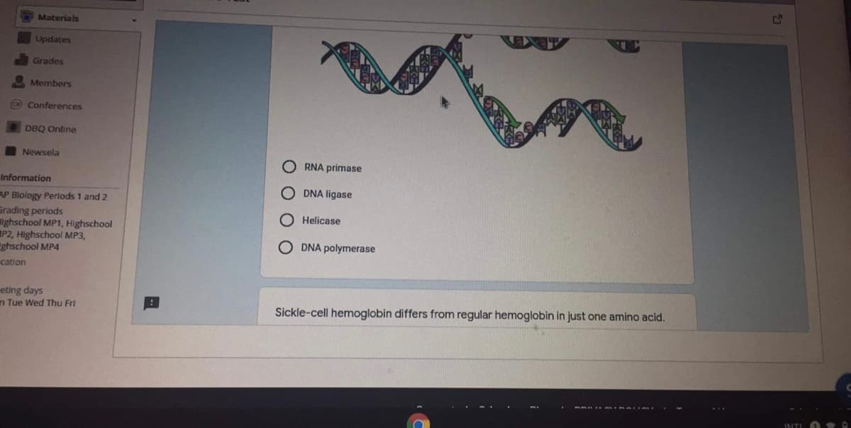 Materials
Updates
Grades
Members
O Conferences
DBQ Online
Newsela
RNA primase
Information
DNA ligase
AP Blology Periods 1 and 2
Grading periods
ighschool MP1, Highschool
P2, Highschool MP3,
ghschool MP4
O Helicase
DNA polymerase
cation
eting days
n Tue Wed Thu Fri
Sickle-cell hemoglobin differs from regular hemoglobin in just one amino acid.
INTI
