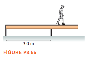 3.0 m
FIGURE P8.55
