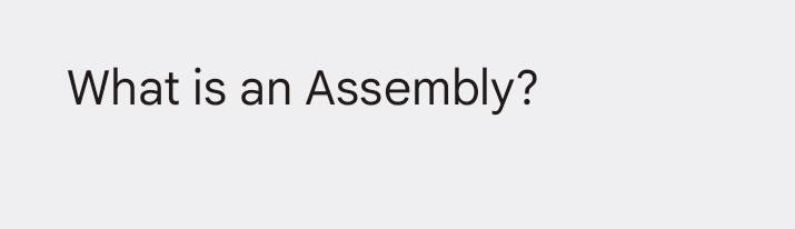 What is an Assembly?