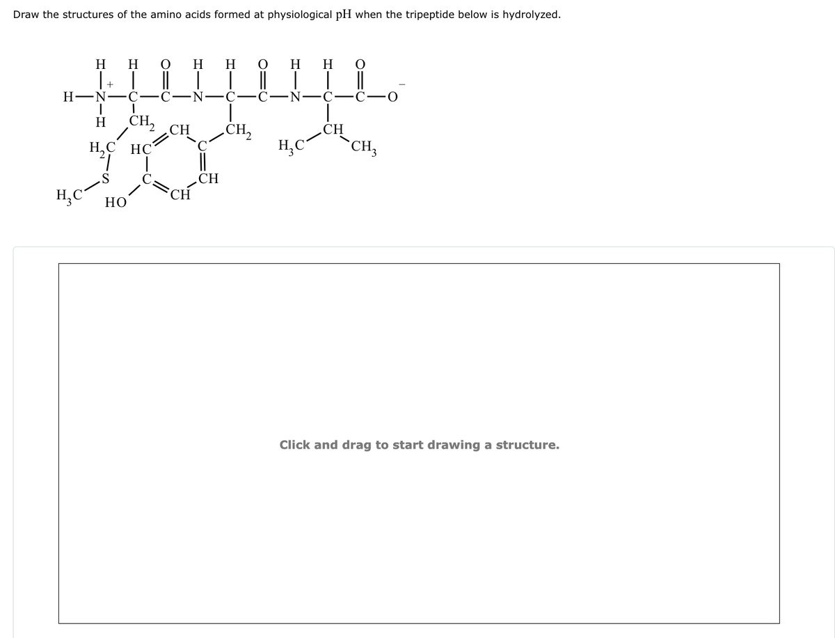 Draw the structures of the amino acids formed at physiological pH when the tripeptide below is hydrolyzed.
H
H
H
H
O H
H
○
+
H-N C
C-N-C
C-N-C
H₂C
H
I
H,C HC
CH
CH
HO
CH2
CH
CH2
CH
H₂C
CH3
Click and drag to start drawing a structure.