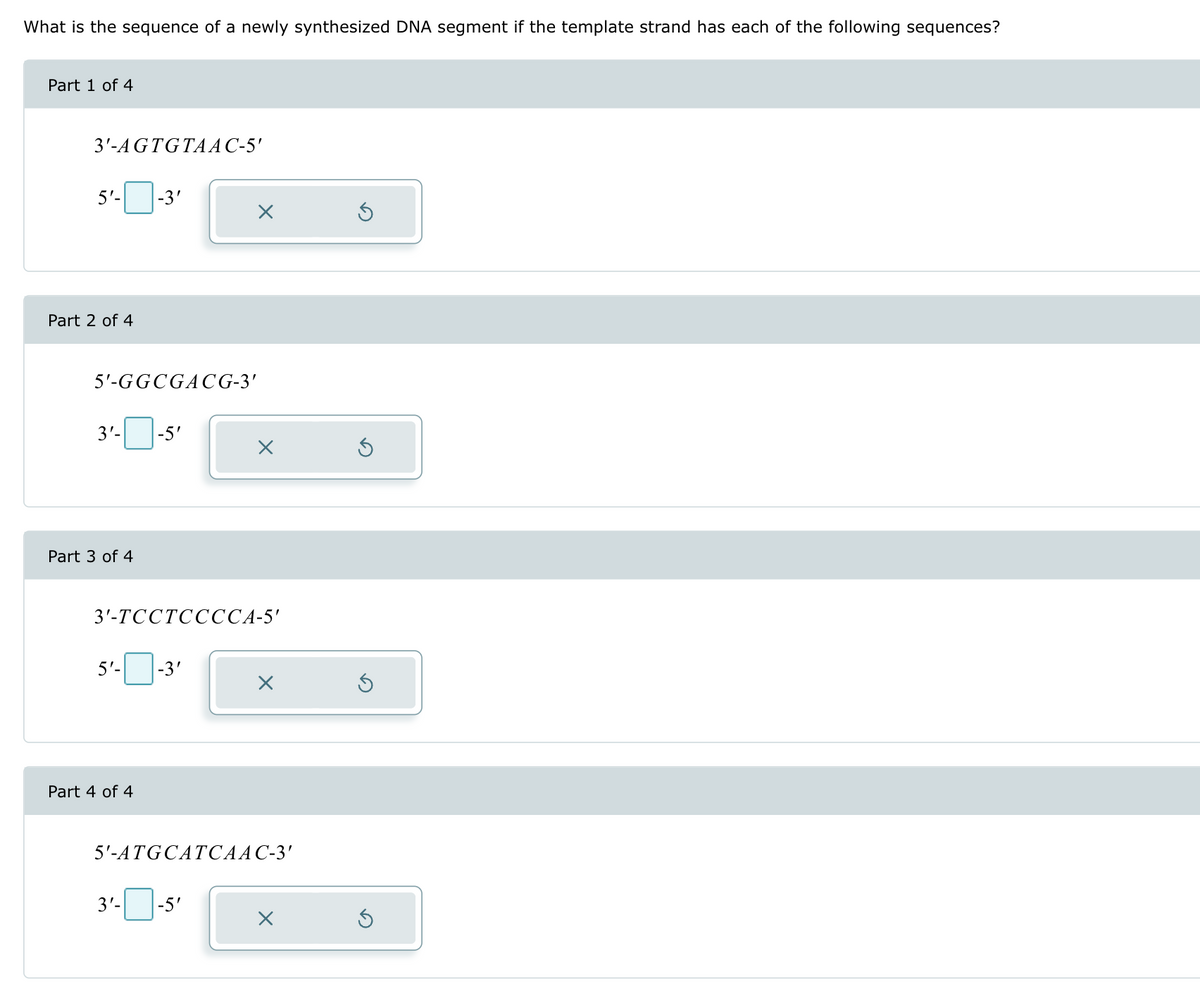 What is the sequence of a newly synthesized DNA segment if the template strand has each of the following sequences?
Part 1 of 4
3'-AGTGTAAC-5'
5'-
-3'
Part 2 of 4
5'-GGCGACG-3'
3'-
-5'
Part 3 of 4
3'-TCCTCCCCA-5'
5'-
-3'
Part 4 of 4
5'-ATGCATCAAC-3'
3'-
-5'