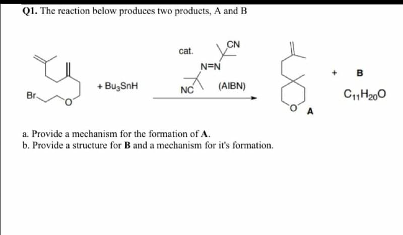 Q1. The reaction below produces two products, A and B
cat.
N=N
28
+ Bu3SnH
NC
Br
(AIBN)
a. Provide a mechanism for the formation of A.
b. Provide a structure for B and a mechanism for it's formation.
B
C11H200
A