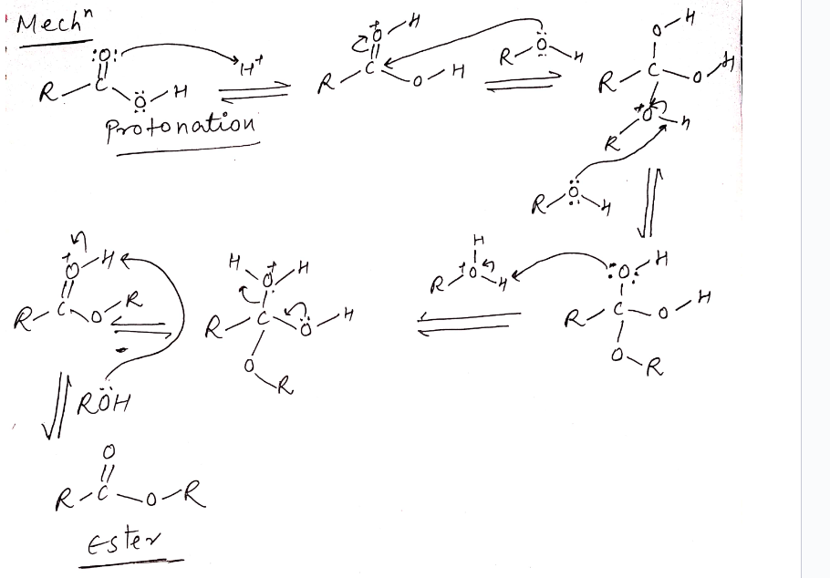 "Mech"
R
:0:
ÖH
Protonation
RÖH
1/
R-C-
Ester
H
•4
H
H
H
Re
eros
-H
R-
R
0-4
1
•H
Fost
R-
erttorn
O-R
H