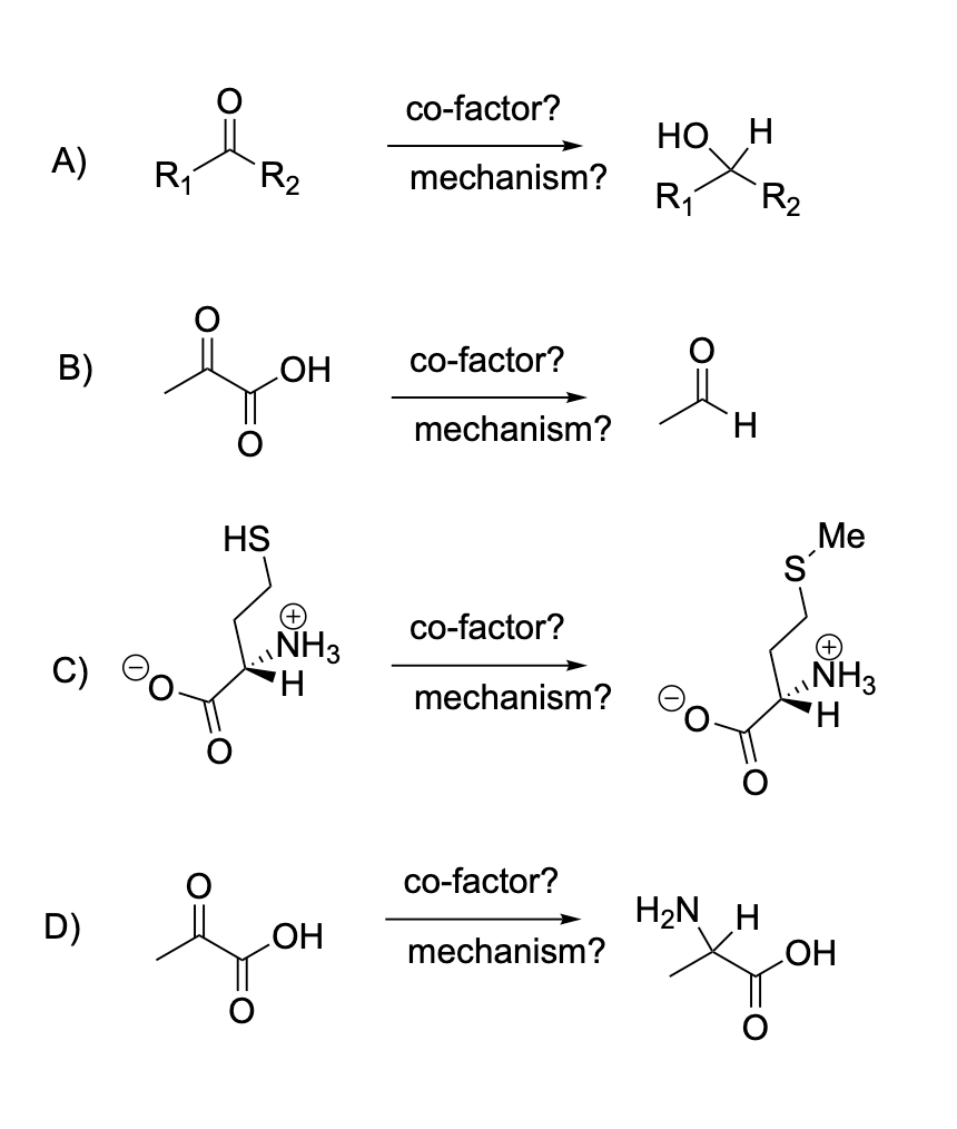 A) R₁ R₂
B)
D)
je
HS
OH
NH3
H
Jo
OH
co-factor?
mechanism?
co-factor?
mechanism?
co-factor?
mechanism?
co-factor?
mechanism?
HO H
R₁
H
H₂N H
R₂
Me
NH3
H
OH