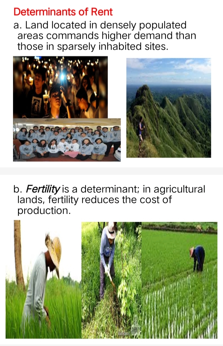 Determinants
of Rent
a. Land located in densely populated
areas commands higher demand than
those in sparsely inhabited sites.
13
b. Fertility is a determinant; in agricultural
lands, fertility reduces the cost of
production.