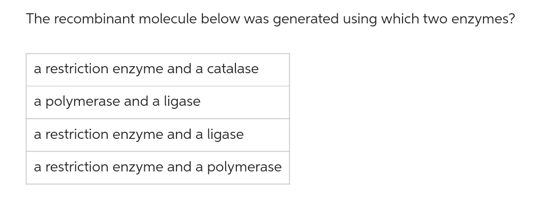 The recombinant molecule below was generated using which two enzymes?
a restriction enzyme and a catalase
a polymerase and a ligase
a restriction enzyme and a ligase
a restriction enzyme and a polymerase