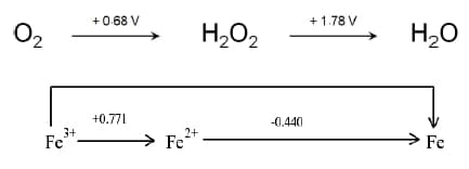 + 1.78 V
H20
+0.68 V
O2
H,O,
+0.771
-0.440
Fe+
> Fe
3+
Fe'
