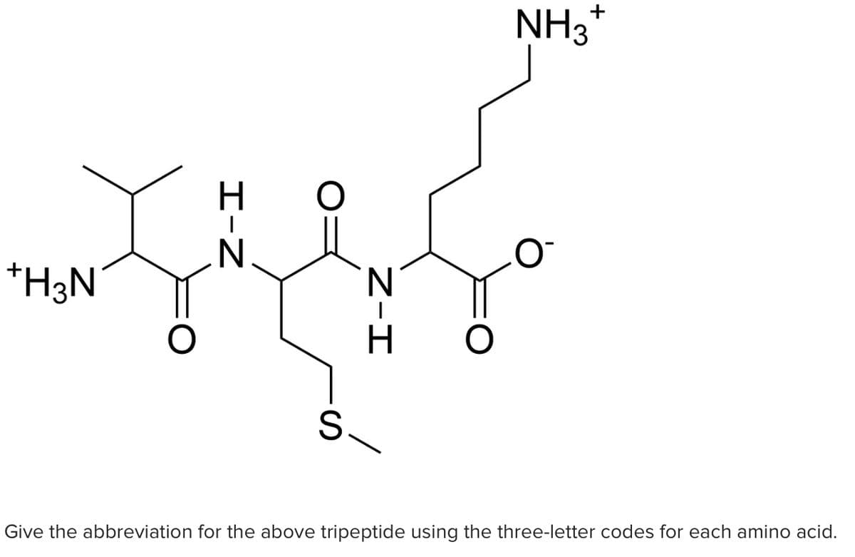 NH3*
*H3N
Give the abbreviation for the above tripeptide using the three-letter codes for each amino acid.
Z-エ
の
エ-Z
