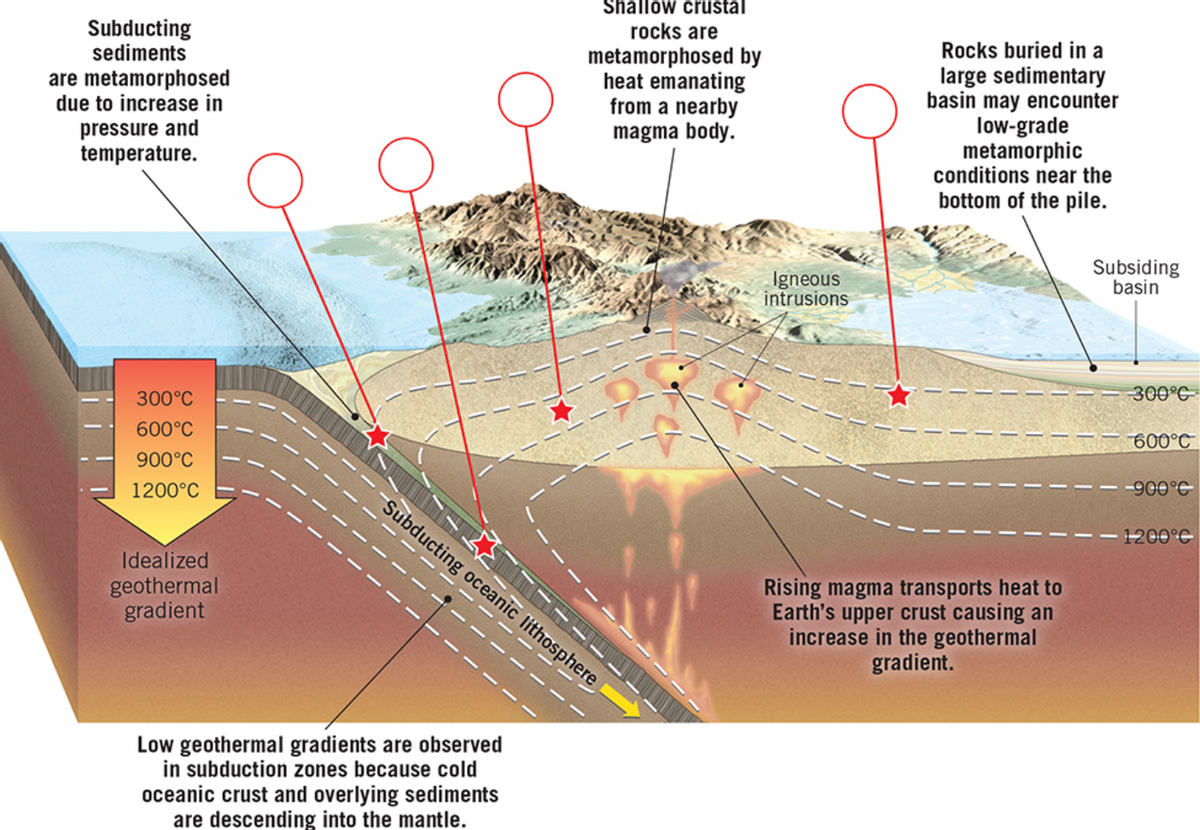 Subducting
sediments
are metamorphosed
due to increase in
pressure and
temperature.
300°C
600°C
900°C
1200°C
Idealized
geothermal
gradient
Shallow crustal
rocks are
metamorphosed by
heat emanating
from a nearby
magma body.
Subducting oceanic lithosphere
Low geothermal gradients are observed
in subduction zones because cold
oceanic crust and overlying sediments
are descending into the mantle.
Igneous
intrusions
Rocks buried in a
large sedimentary
basin may encounter
low-grade
metamorphic
conditions near the
bottom of the pile.
Rising magma transports heat to
Earth's upper crust causing an
increase in the geothermal
gradient.
Subsiding
basin
-300°C
600°C
---900°C
1200°C