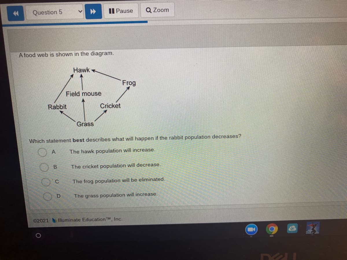 Question 5
Il Pause
Q Zoom
A food web is shown in the diagram.
Hawk
Frog
Field mouse
Rabbit
Cricket
Grass
Which statement best describes what will happen if the rabbit population decreases?
The hawk population will increase.
The cricket population will decrease.
The frog population will be eliminated.
The grass population will increase.
©2021 Illuminate EducationTM, Inc.
D.
