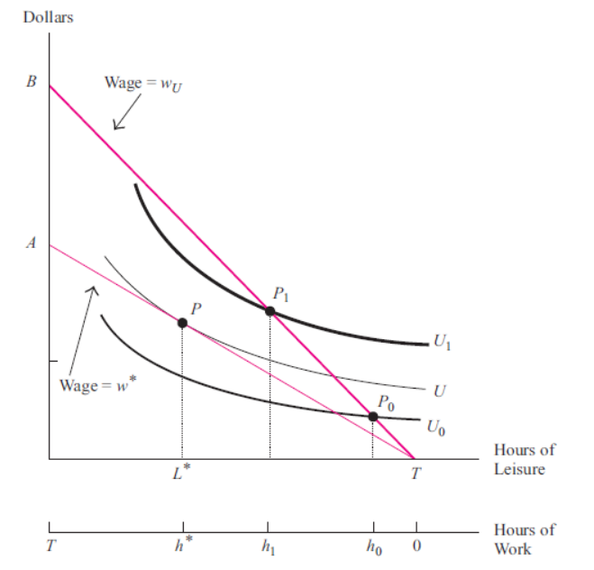 Dollars
B
Wage = wy
A
P1
Wage = w
U
Po
Uo
Hours of
Leisure
L*
T
Hours of
Work
T
h
ho
