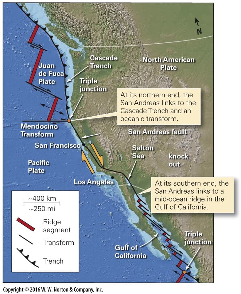 Cascade
North American
Plate
Trench
Juan
de Fuca
Triple
junction
Plate
At its northern end, the
San Andreas links to the
Cascade Trench and an
oceanic transform.
Mendocino
Transform
San Andreas fault
San Francisco
Salton
Sea
knock
Pacific
out
Plate
Los Angeles
At its southern end, the
San Andreas links to a
mid-ocean ridge in the
Gulf of California.
~400 km
-250 mi
Ridge
segment
Triple
junction
Transform
Gulf of
California
Trench
Copyright © 2016 W. W. Norton & Company, Inc.
