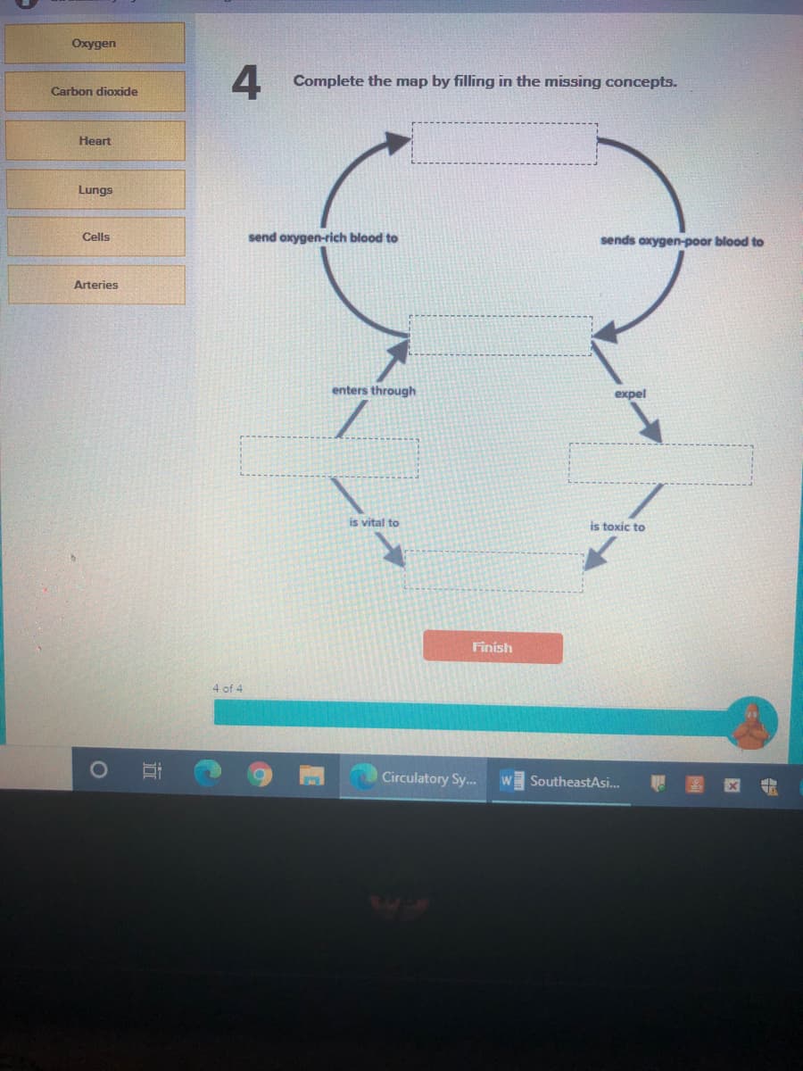 Oxygen
4
Complete the map by filling in the missing concepts.
Carbon dioxide
Heart
Lungs
Cells
send oxygen-rich blood to
sends oxygen-poor blood to
Arteries
enters through
еxpel
is vital to
is toxic to
Finish
4 of 4
Circulatory Sy.
SoutheastAsi.
