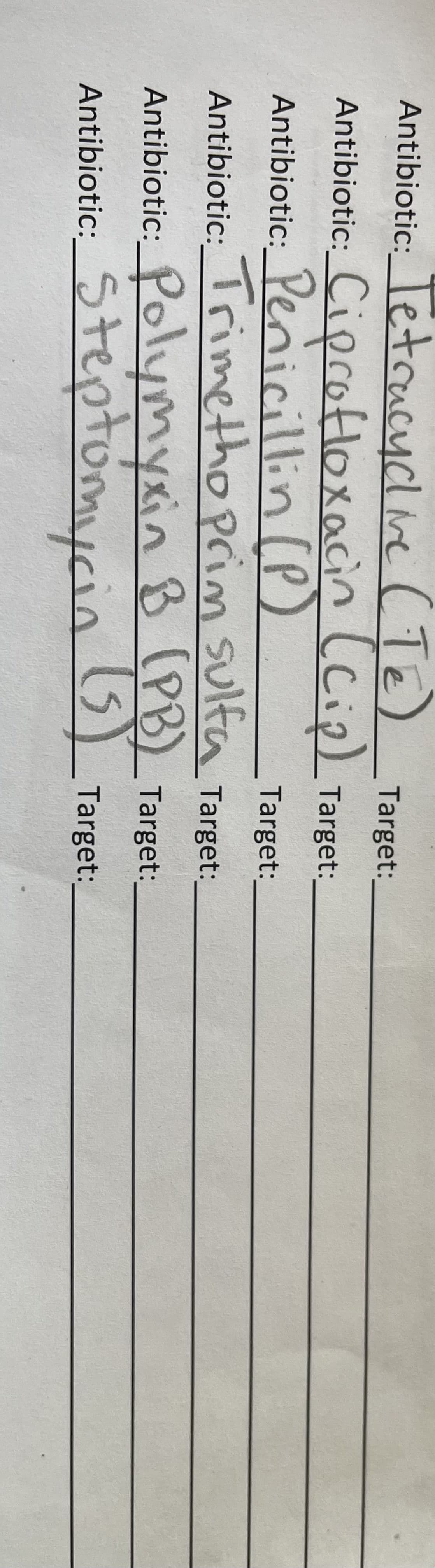 Target:
Antibiotic: Tetracyclive (TE)
Antibiotic: _Ciprofloxacin (Cip) Target:
Antibiotic: Penicillin (P)
Target:
Antibiotic: Trimethoprim sulfa Target:
Antibiotic: Polymyxin B (PB) Target:
Antibiotic: Steptomycin
(5) Target: