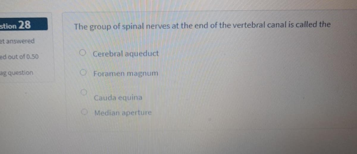 stion 28
The group of spinal nerves at the end of the vertebral canal is called the
et answered
O Cerebral aqueduct
ed out of 0.50
ag question
O Foramen magnum
Cauda equina
O Median aperture
