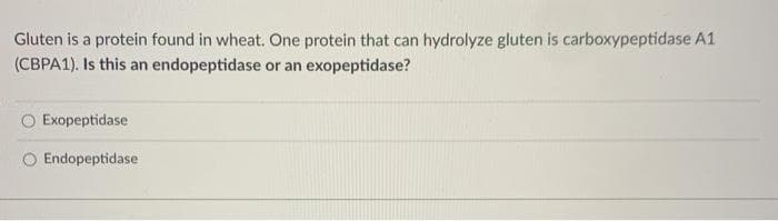 Gluten is a protein found in wheat. One protein that can hydrolyze gluten is carboxypeptidase A1
(CBPA1). Is this an endopeptidase or an exopeptidase?
Exopeptidase
O Endopeptidase
