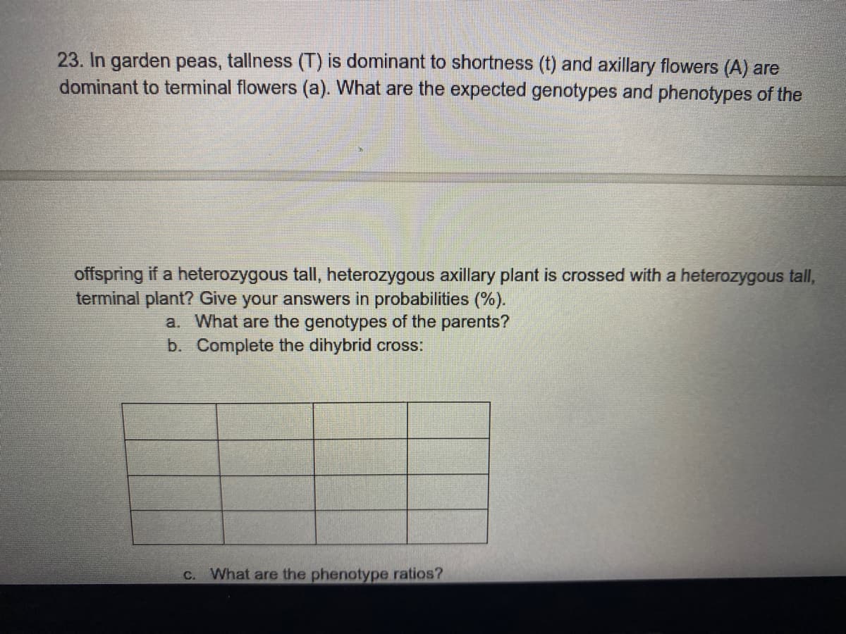 23. In garden peas, tallness (T) is dominant to shortness (t) and axillary flowers (A) are
dominant to terminal flowers (a). What are the expected genotypes and phenotypes of the
offspring if a heterozygous tall, heterozygous axillary plant is crossed with a heterozygous tall,
terminal plant? Give your answers in probabilities (%).
a. What are the genotypes of the parents?
b. Complete the dihybrid cross:
C.
What are the phenotype ratios?
